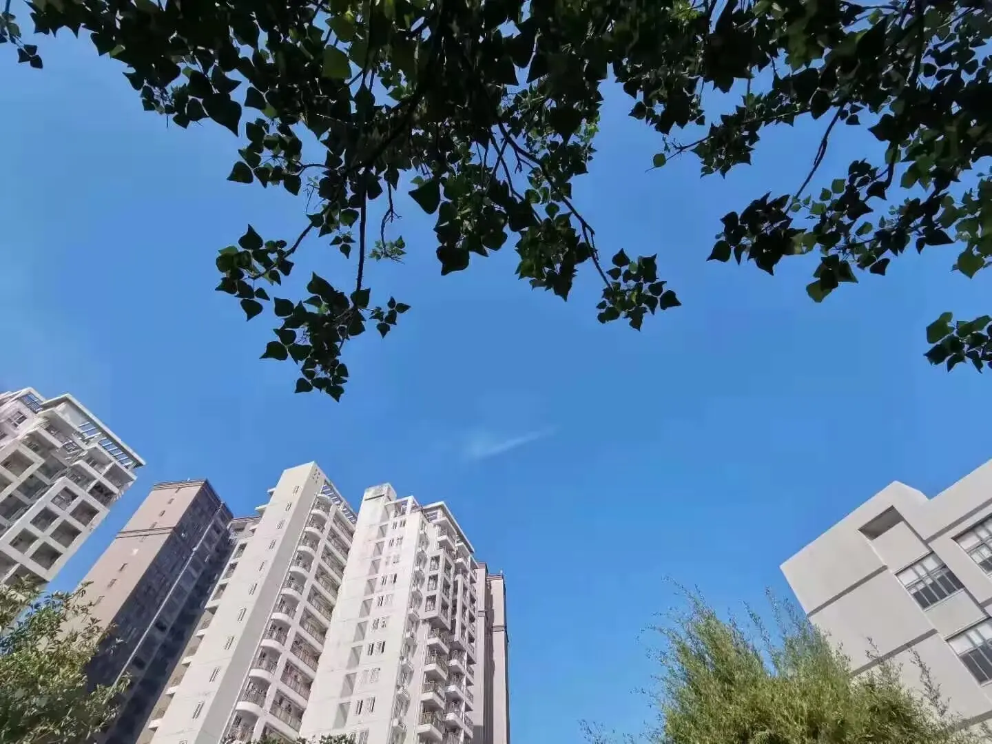 有一种蓝，足以治愈所有要启程的孤单