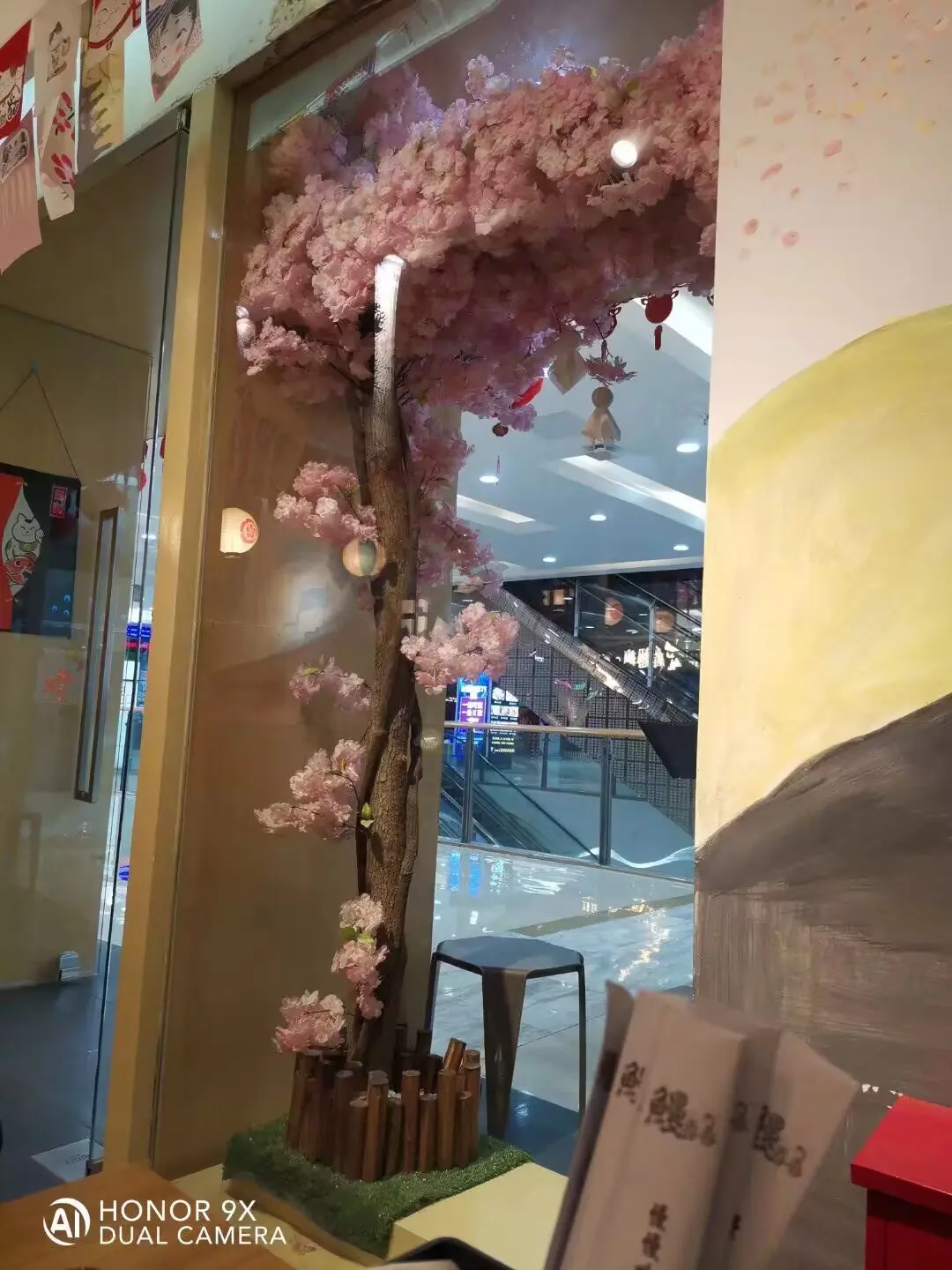 为了这一棵樱花，吃了顿寿司